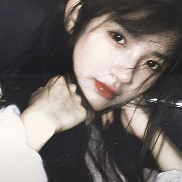 欢迎来到丛林